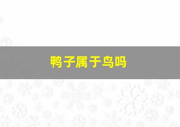 鸭子属于鸟吗