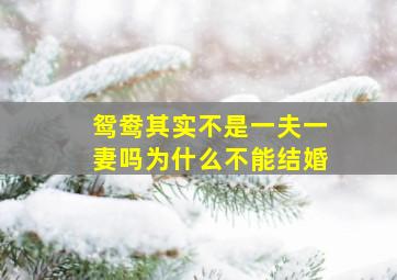 鸳鸯其实不是一夫一妻吗为什么不能结婚