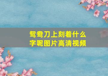 鸳鸯刀上刻着什么字呢图片高清视频