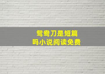 鸳鸯刀是短篇吗小说阅读免费