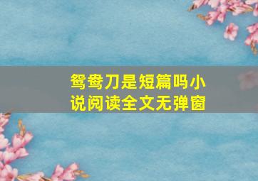 鸳鸯刀是短篇吗小说阅读全文无弹窗