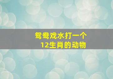 鸳鸯戏水打一个12生肖的动物