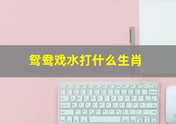 鸳鸯戏水打什么生肖