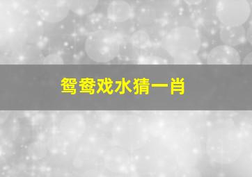 鸳鸯戏水猜一肖