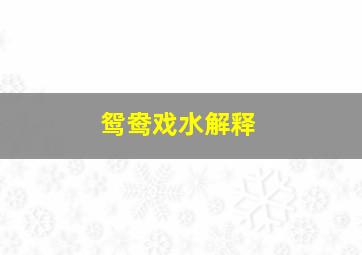 鸳鸯戏水解释