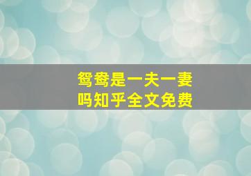 鸳鸯是一夫一妻吗知乎全文免费