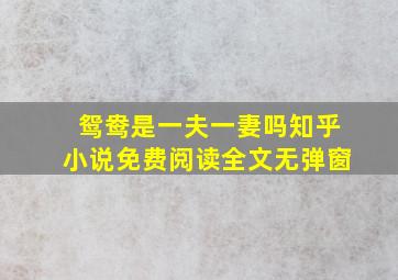 鸳鸯是一夫一妻吗知乎小说免费阅读全文无弹窗