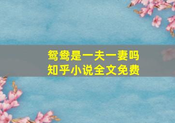 鸳鸯是一夫一妻吗知乎小说全文免费