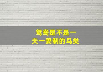 鸳鸯是不是一夫一妻制的鸟类