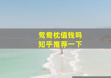 鸳鸯枕值钱吗知乎推荐一下