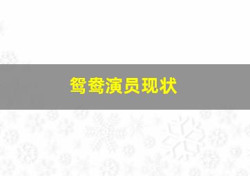 鸳鸯演员现状