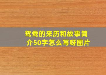 鸳鸯的来历和故事简介50字怎么写呀图片