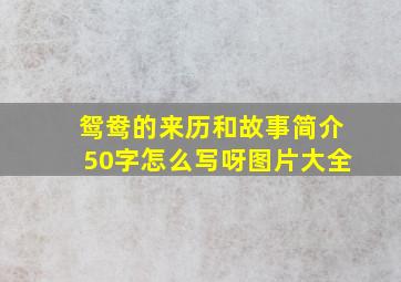 鸳鸯的来历和故事简介50字怎么写呀图片大全