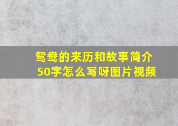 鸳鸯的来历和故事简介50字怎么写呀图片视频