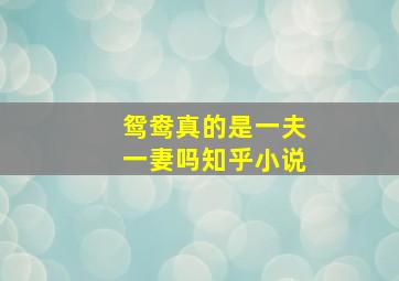 鸳鸯真的是一夫一妻吗知乎小说