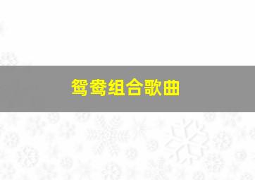 鸳鸯组合歌曲