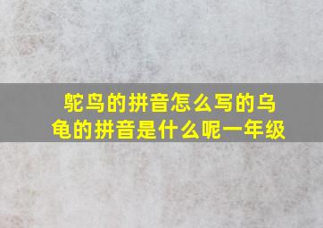 鸵鸟的拼音怎么写的乌龟的拼音是什么呢一年级