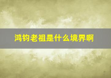 鸿钧老祖是什么境界啊