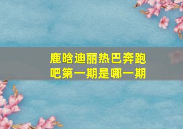 鹿晗迪丽热巴奔跑吧第一期是哪一期