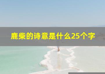 鹿柴的诗意是什么25个字