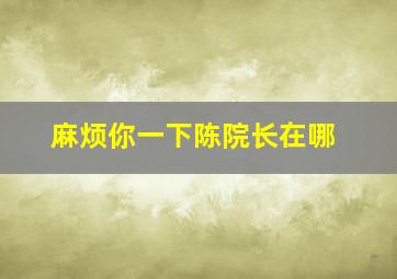 麻烦你一下陈院长在哪