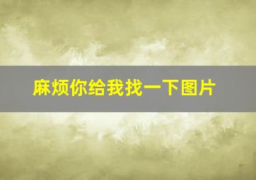 麻烦你给我找一下图片