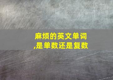 麻烦的英文单词,是单数还是复数