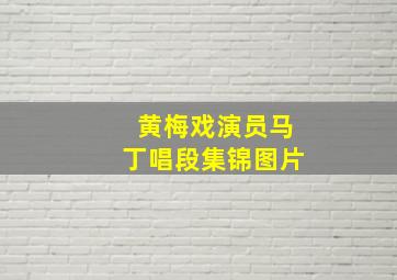 黄梅戏演员马丁唱段集锦图片