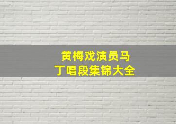 黄梅戏演员马丁唱段集锦大全