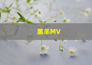 黑羊MV