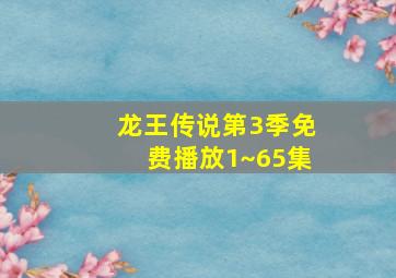 龙王传说第3季免费播放1~65集