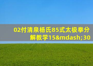 02付清泉杨氏85式太极拳分解教学15—30