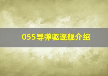 055导弹驱逐舰介绍