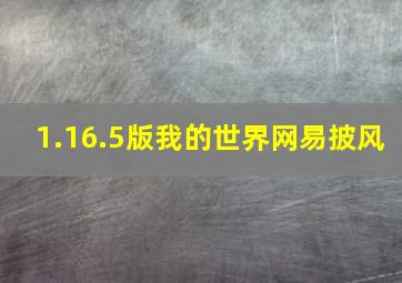 1.16.5版我的世界网易披风