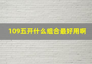 109五开什么组合最好用啊