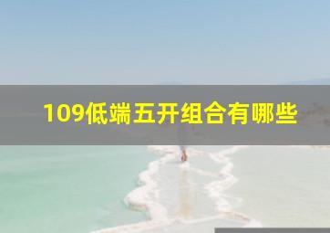 109低端五开组合有哪些