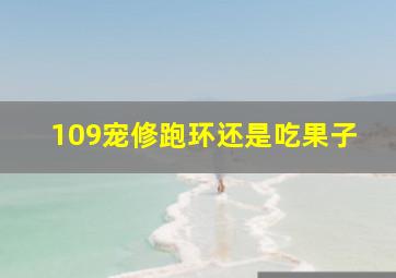 109宠修跑环还是吃果子