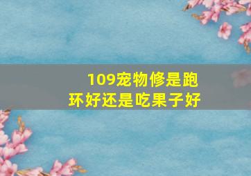 109宠物修是跑环好还是吃果子好