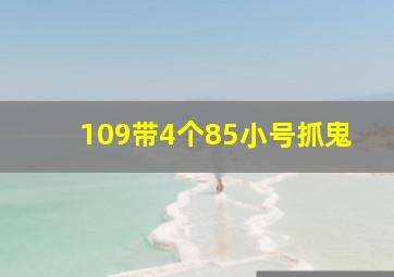 109带4个85小号抓鬼