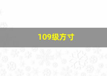 109级方寸