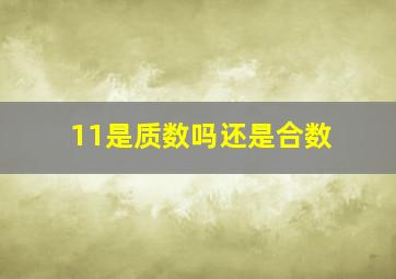 11是质数吗还是合数