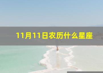 11月11日农历什么星座