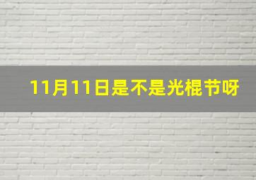 11月11日是不是光棍节呀