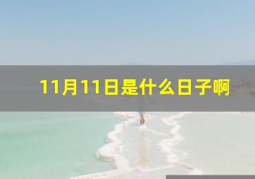 11月11日是什么日子啊