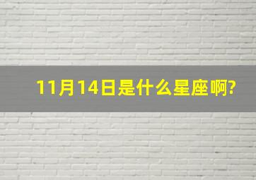 11月14日是什么星座啊?