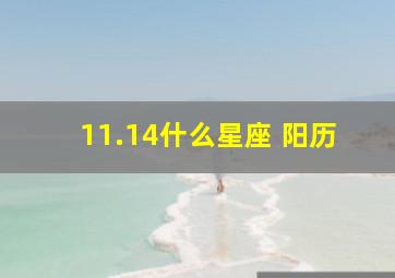 11.14什么星座 阳历