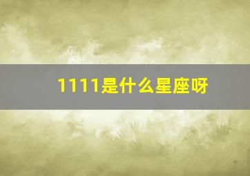 1111是什么星座呀