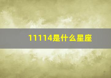 11114是什么星座