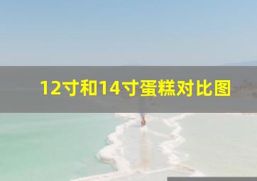 12寸和14寸蛋糕对比图