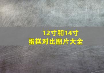 12寸和14寸蛋糕对比图片大全